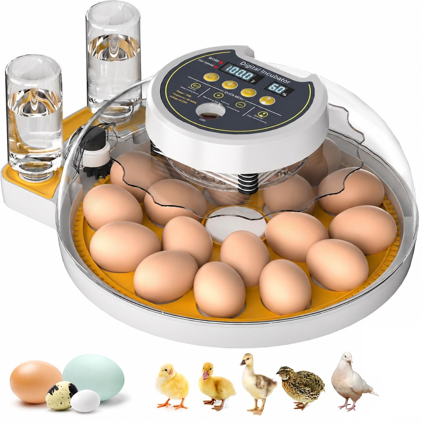 Automatic Egg Incubator for Quail, Chicken & Duck Eggs
