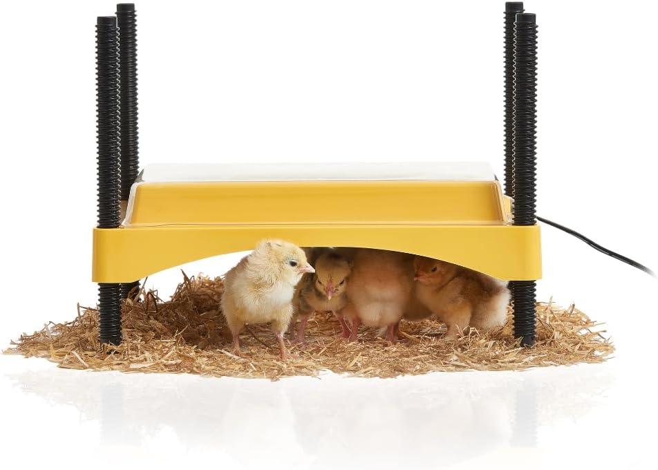 BRINSEA 600 HEAT PLATE UP TO 20 CHICKS