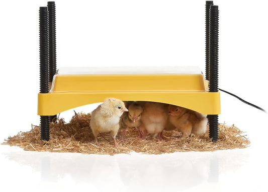 BRINSEA 600 HEAT PLATE UP TO 20 CHICKS