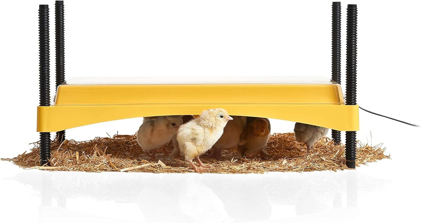 BRINSEA HEAT PLATE 1200 UP TO 35 CHICKS